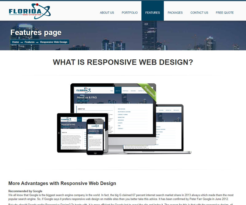 florida web enterprise responsive info